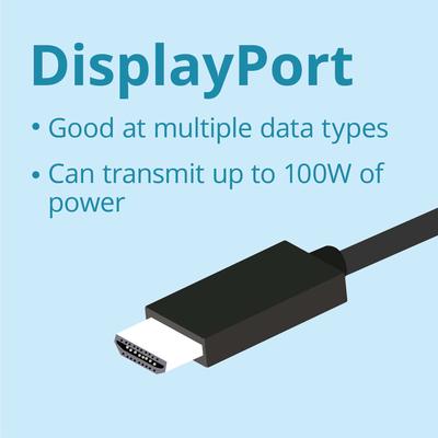 Monitor-Ports-and-USB-C-A-Comparison-of-Display-Connections-DisplayPort.jpeg